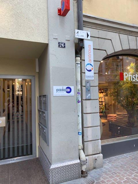 paedago news 20210630 intro