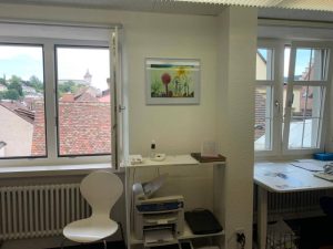 paedago news 20210630 intro